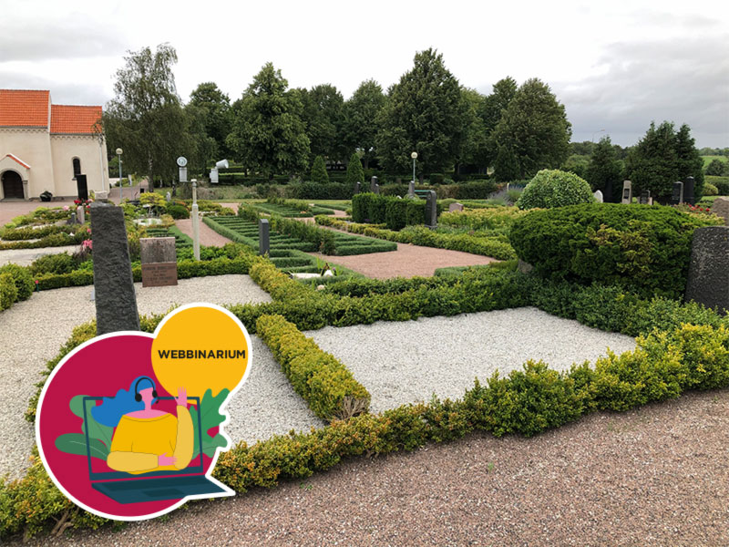 buxbom framtid buxbomssot alternativ