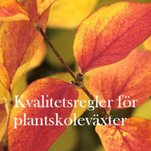 Kvalitetsbedomning-av-vaxter-3 växtkvalitet plantskoleregler seminarium växtbedömning