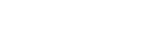 Akademi-vit