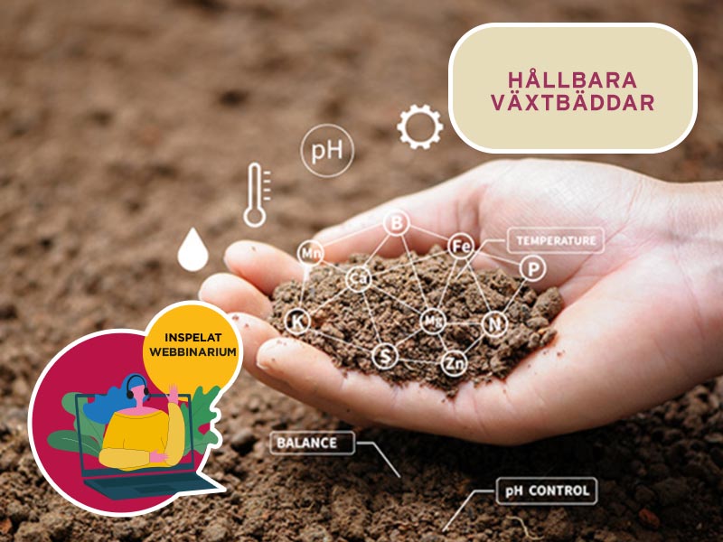 Hållbara Växtbäddar